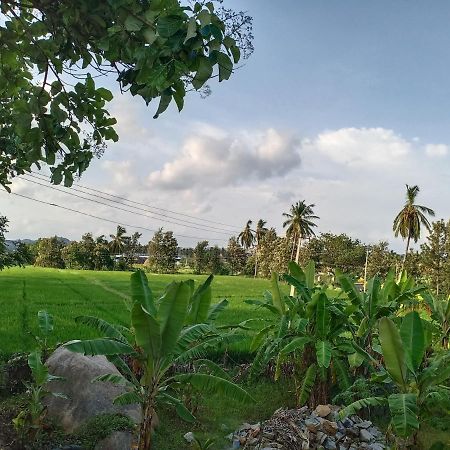 Gopi Plantation Homestay Hampi Exterior foto