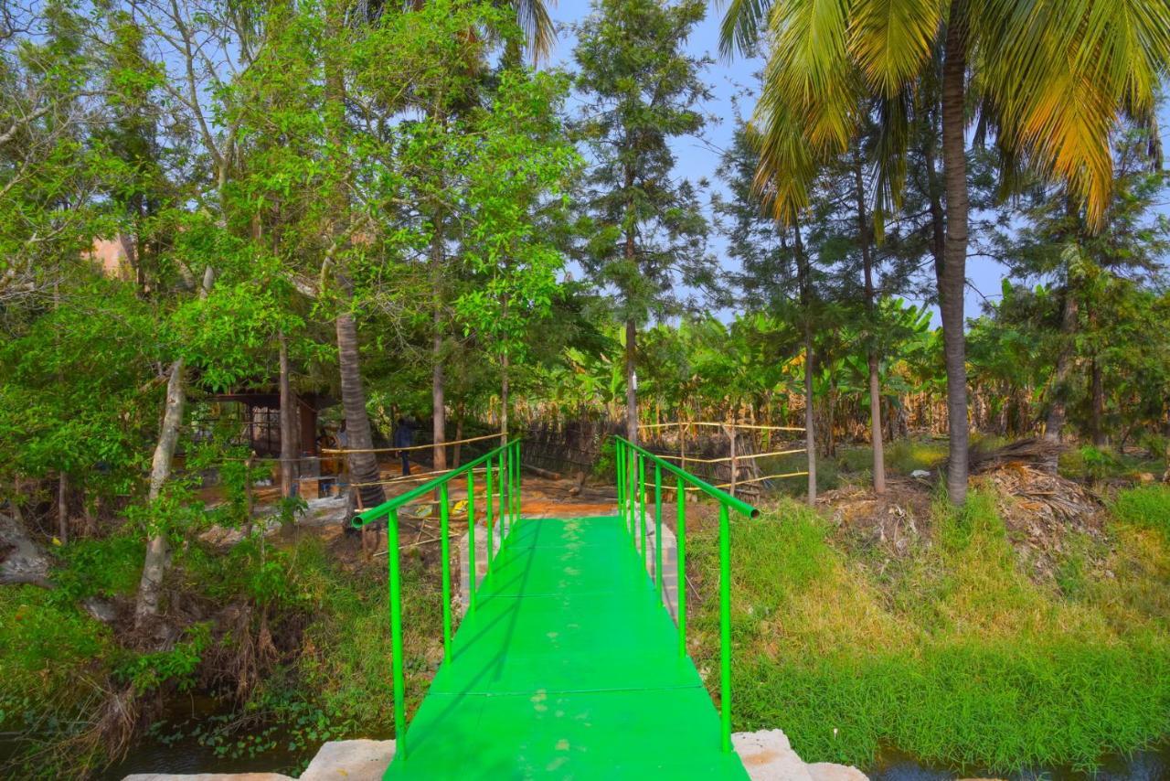 Gopi Plantation Homestay Hampi Exterior foto